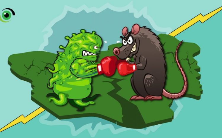 COVID-19 and Lassa Fever in Nigeria